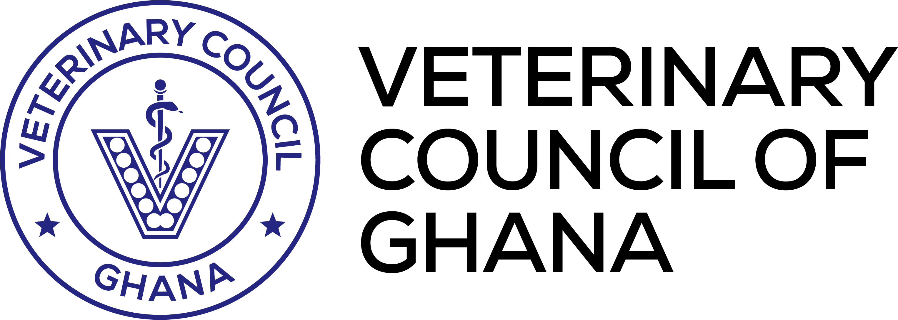 VCG Logo